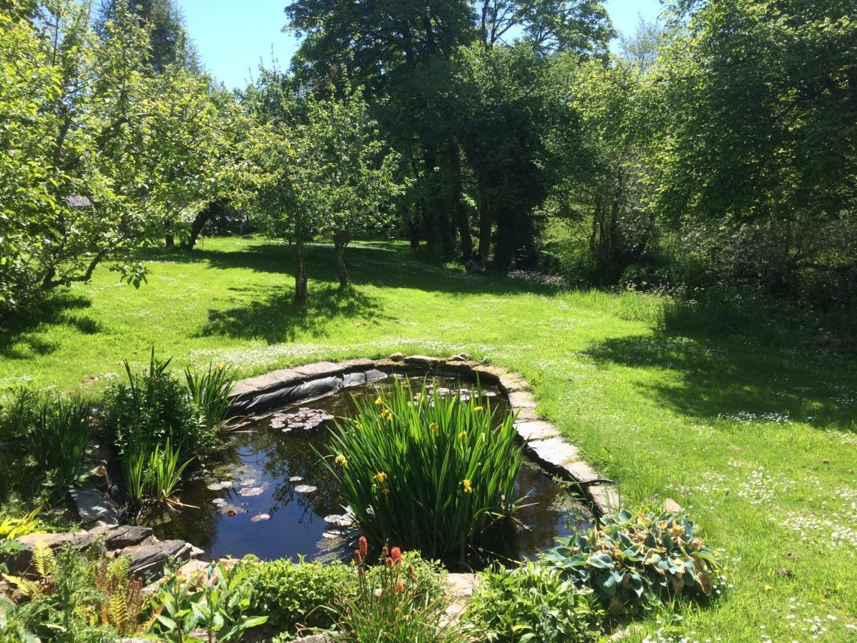 Bed and Breakfast Bow Mill Farm Totnes Exteriér fotografie