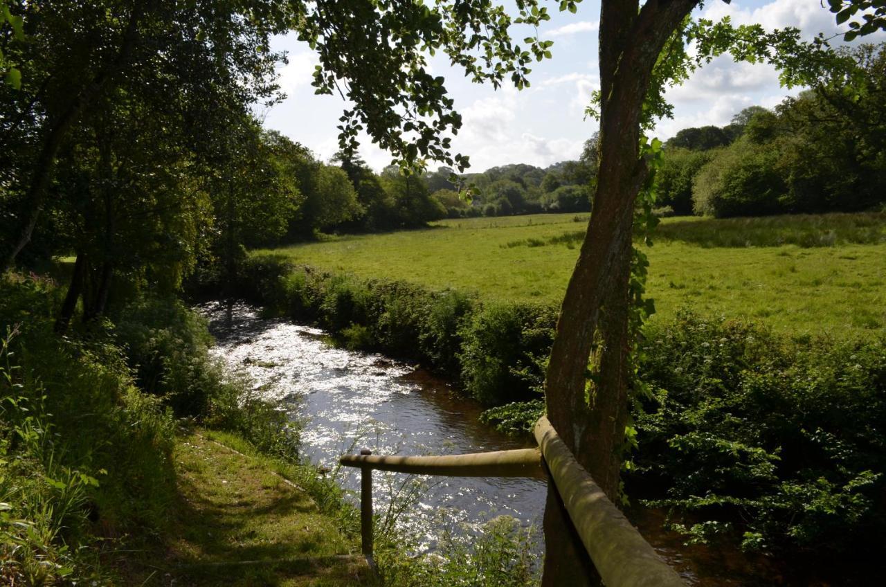 Bed and Breakfast Bow Mill Farm Totnes Exteriér fotografie